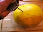 lampmanspahghettisquash.JPG