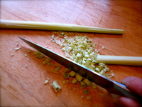 lampmanlemongrass.JPG