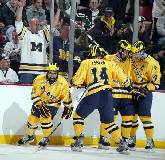 Michigan-hockey-013010.jpg