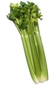 celery_tallthin.jpg