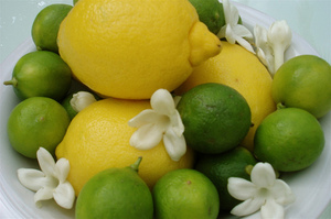 limes-lemons-sugarcoma.jpg