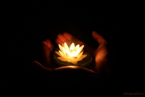 lotus-candle.jpg