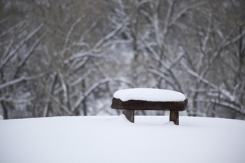 solitary-bench.jpg