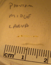 DSCN7404.JPG