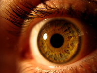 EYE.jpg
