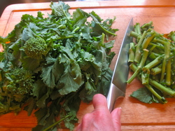 lampmanrapini.JPG