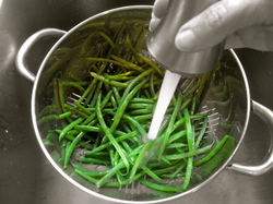 lampmangreenbeans.JPG