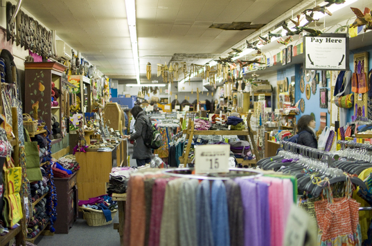 Orchid Lane Ann Arbor