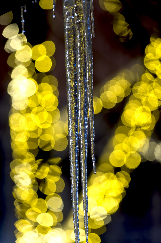 icicle.jpg