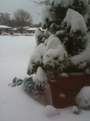 FarnhamSnowDayInA2