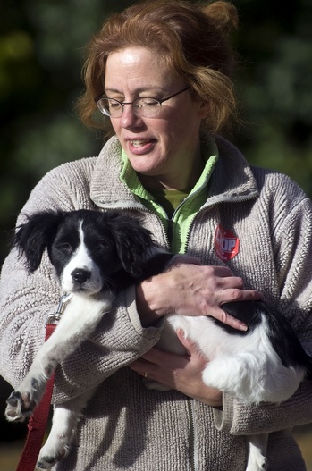 CROP-Walk-puppy.jpg