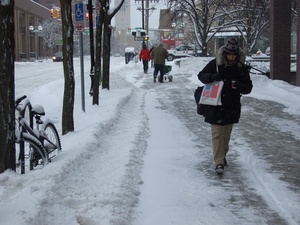 Thumbnail image for snowstorm_ann_arbor021010.jpg