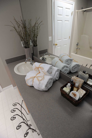 032510_homestaging2.jpg