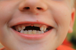 Thumbnail image for 1188957_15536332.jpg