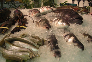 Borden - Monahan fish display