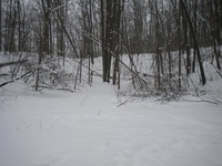 DSCN7758.JPG