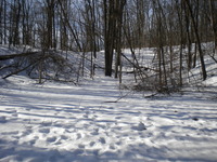 DSCN7817.JPG
