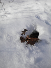 DSCN7819.JPG