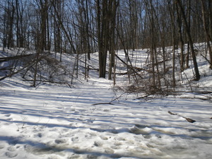 DSCN8180.JPG