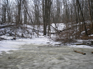 DSCN8293.JPG
