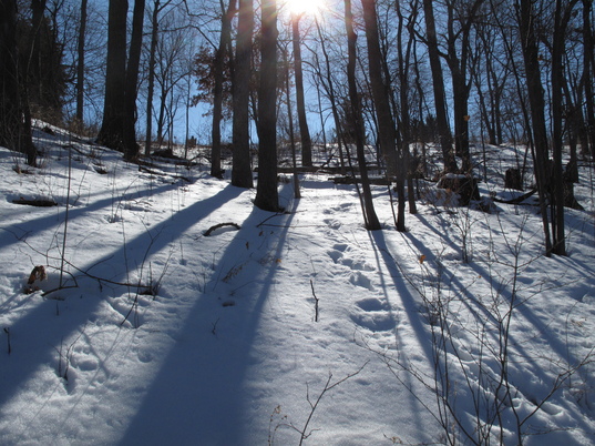 Shadows@Bandemer-DennisSparks.JPG