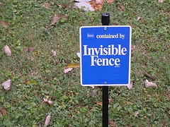 Invisible fence.jpg