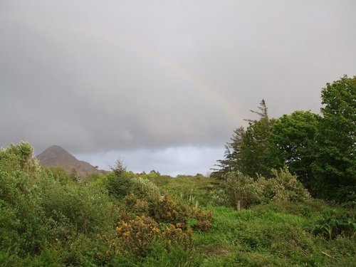 Ireland_1.jpg
