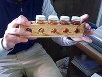 Borden - Maple syrup grading tool