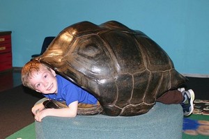 Mayrend-Zach_turtle.jpg