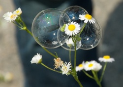 flowerinbubble.jpg