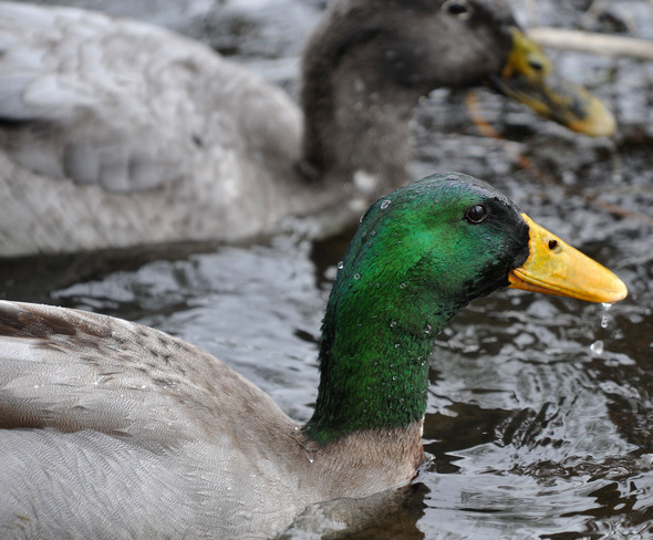 041710_mb_river_cleanup_8.jpg