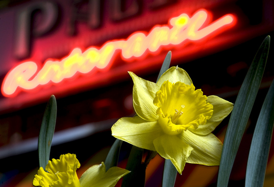 042210_annArbor_nocturne_2.jpg