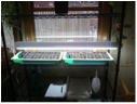 Indoor-garden-seed-starting-operation