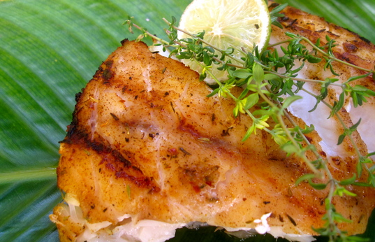 lampmanJerk-rubbed Grouper.JPG