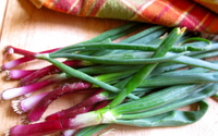 lampmanredspringonions.JPG