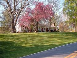 spring-home-maintenance.jpg