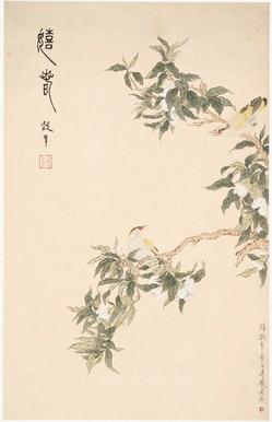 Songbirds-In-Spring.jpg