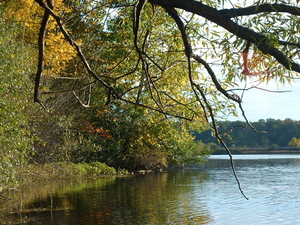 feldt:huronriver.jpg