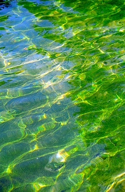 shimmeringwater.jpg