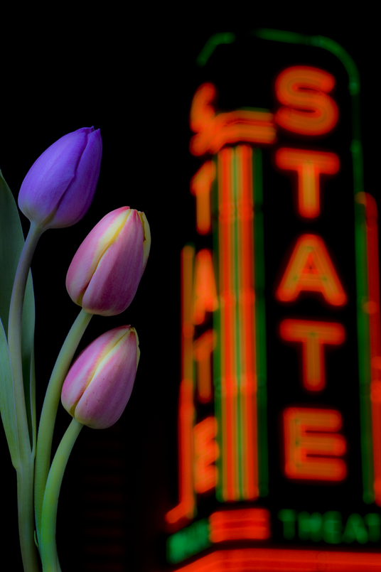 stateFlower_3.jpg