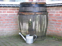 346347_9056.jpg