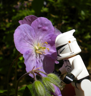 DSCN1208.JPG
