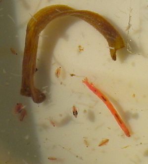 DSCN1220.JPG