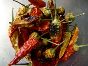 Harvest Kitchen_hot peppers.jpg