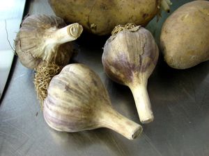 Harvest Kitchen_garlic.jpg