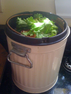 Borden - compost container on counter