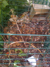 Borden - cold compost pile