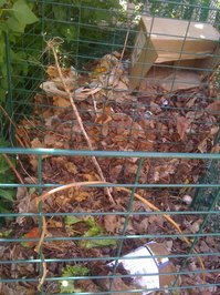 Borden - cold compost pile