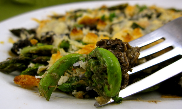 fiddlehead,morelandasparagusgratin.JPG