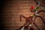 flowerbike.jpg